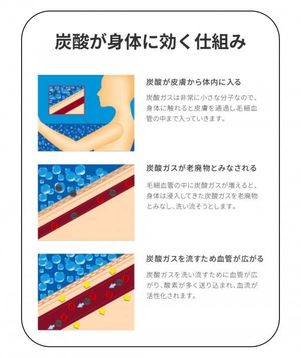 あらゆる部分に効く！ 話題の炭酸美容 炭酸の３つの効果(3)